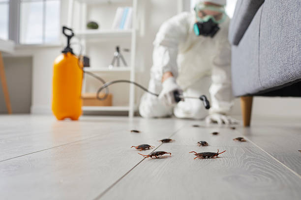 Commercial Kitchen Cockroach Control in Berrien Springs